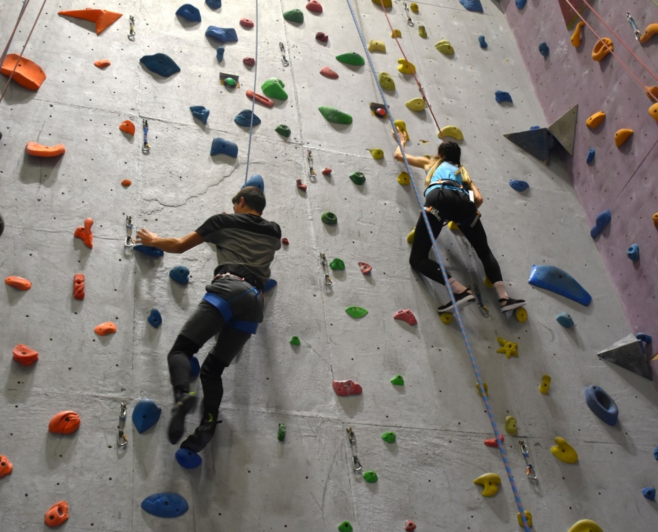 The Department of "Tourism, Mountaineering, and Orienteering" at NSA celebrated its 70th anniversary